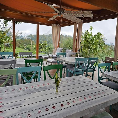 B&B Villa Angelina Rogaška Slatina Dış mekan fotoğraf