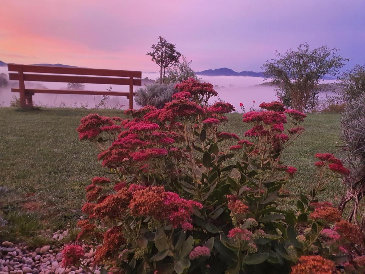 B&B Villa Angelina Rogaška Slatina Dış mekan fotoğraf