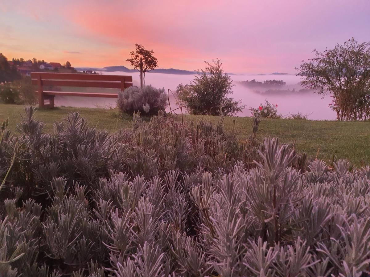 B&B Villa Angelina Rogaška Slatina Dış mekan fotoğraf