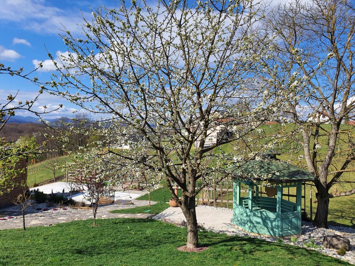B&B Villa Angelina Rogaška Slatina Dış mekan fotoğraf