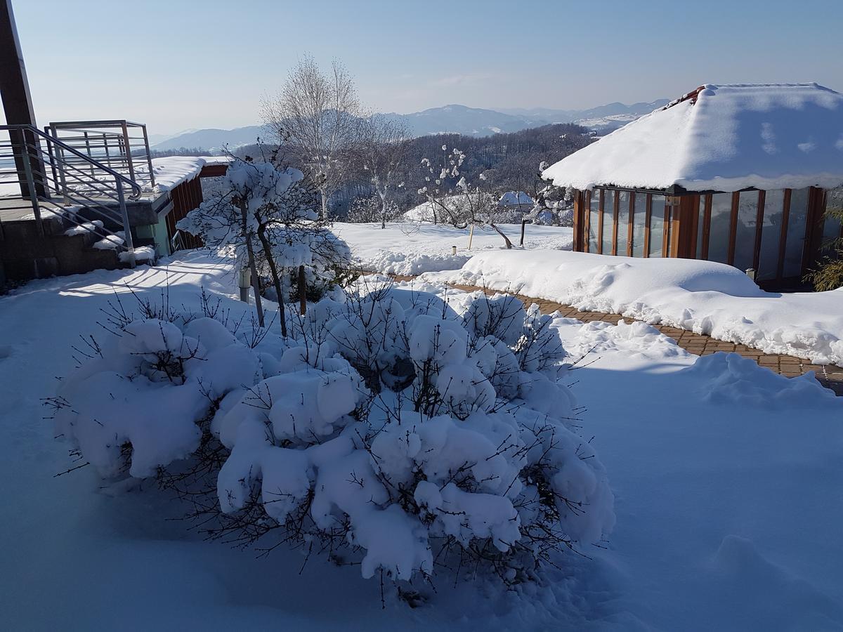B&B Villa Angelina Rogaška Slatina Dış mekan fotoğraf