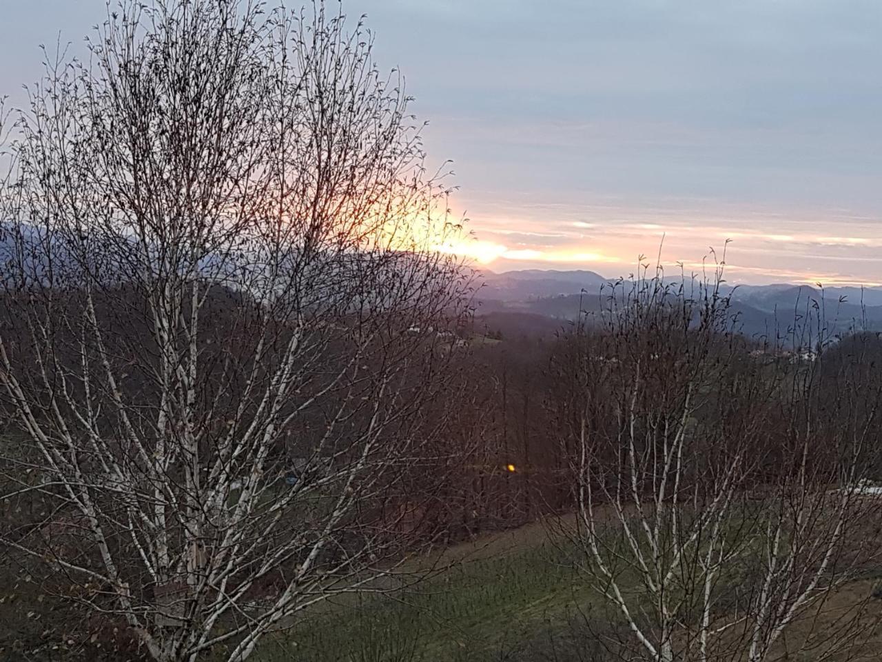 B&B Villa Angelina Rogaška Slatina Dış mekan fotoğraf